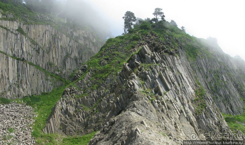 Здесь растут столбы