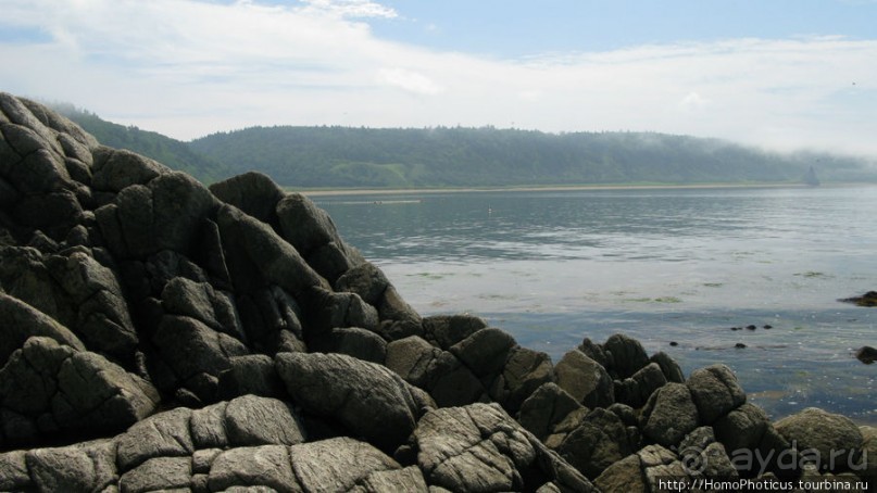 Здесь растут столбы