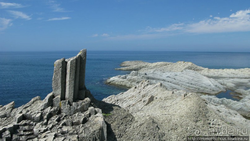 Здесь растут столбы