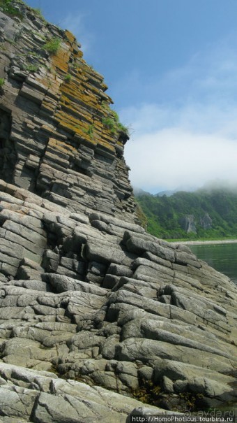 Здесь растут столбы