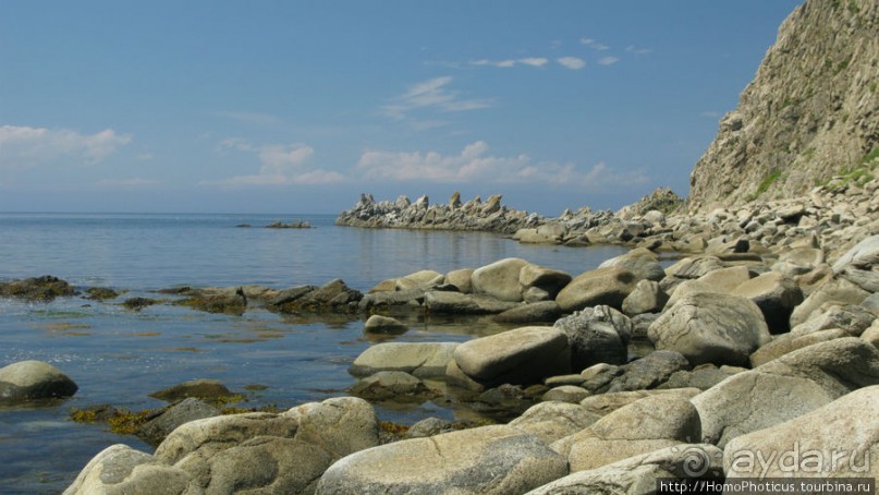 Здесь растут столбы