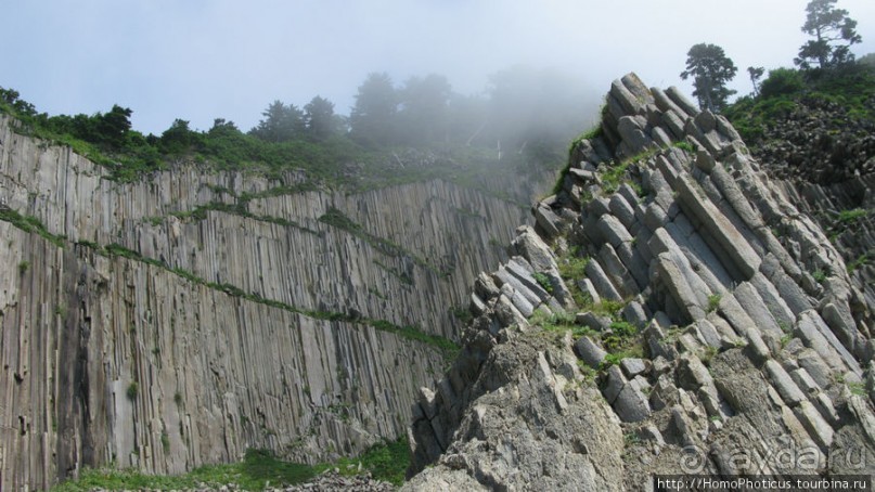 Здесь растут столбы