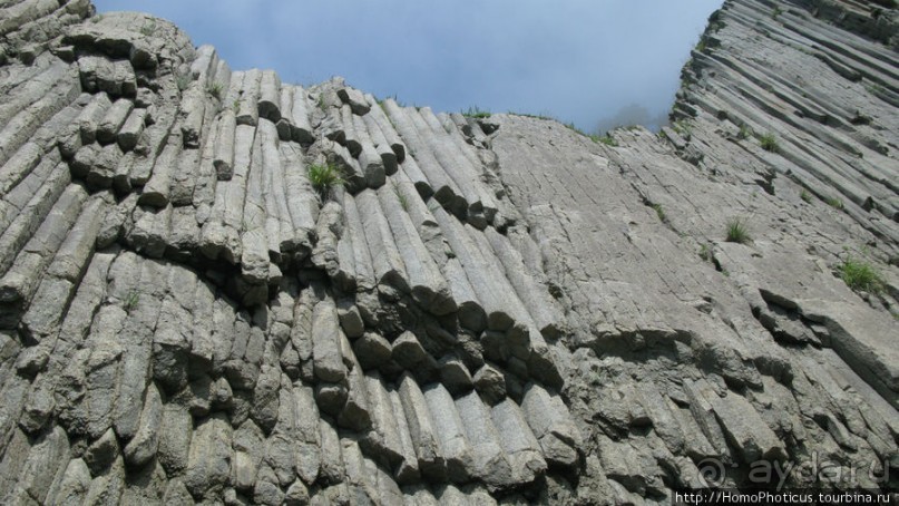 Здесь растут столбы