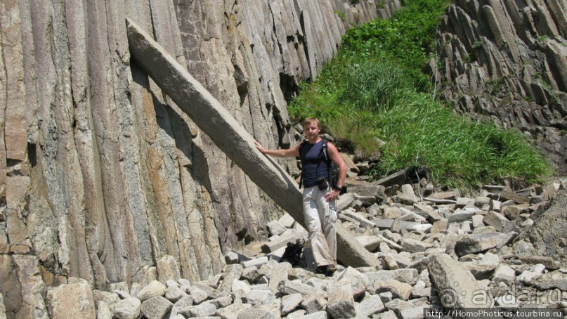 Здесь растут столбы