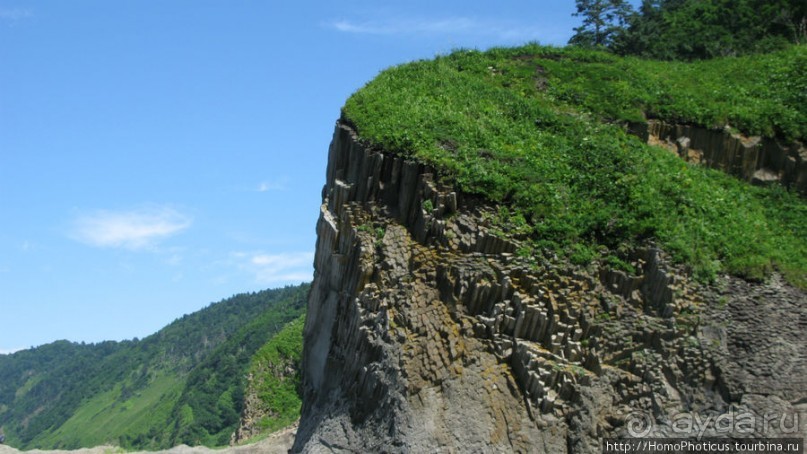 Здесь растут столбы