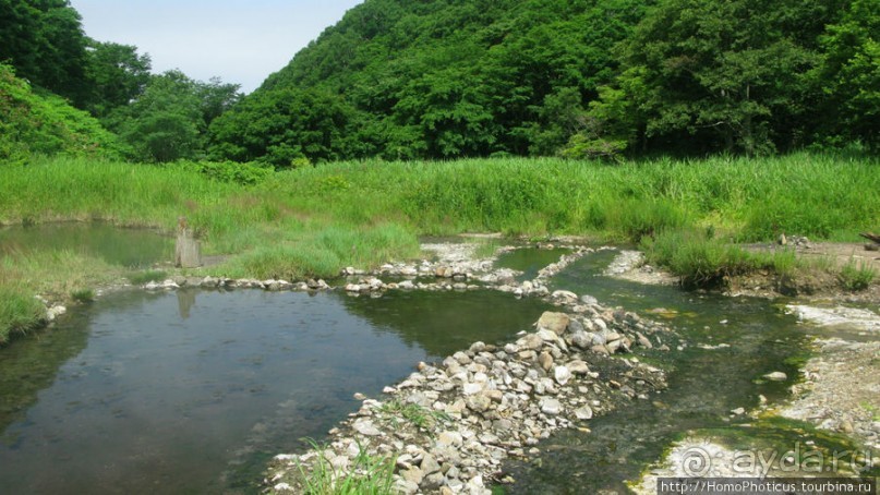 Здесь растут столбы