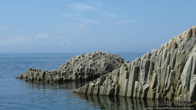 Здесь растут столбы