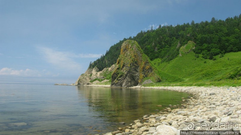 Здесь растут столбы