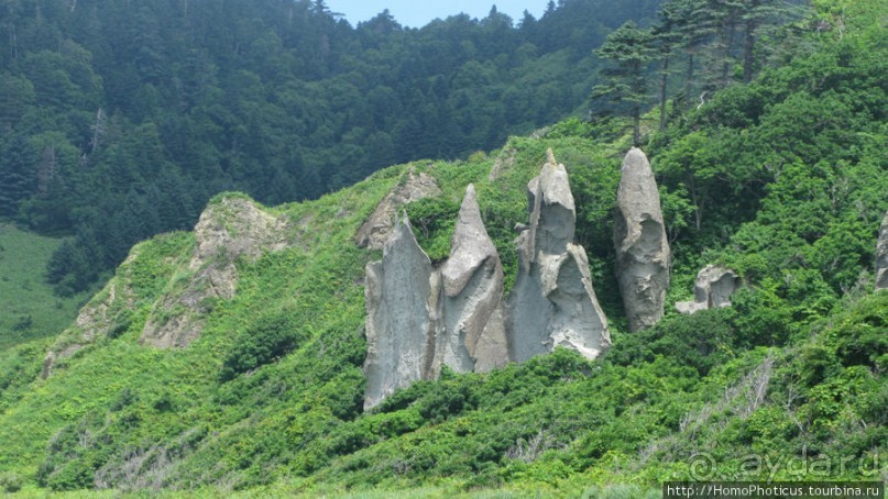 Здесь растут столбы