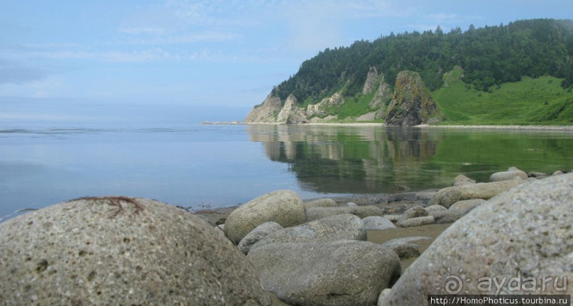 Здесь растут столбы