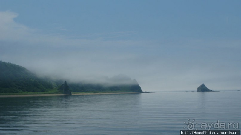 Здесь растут столбы