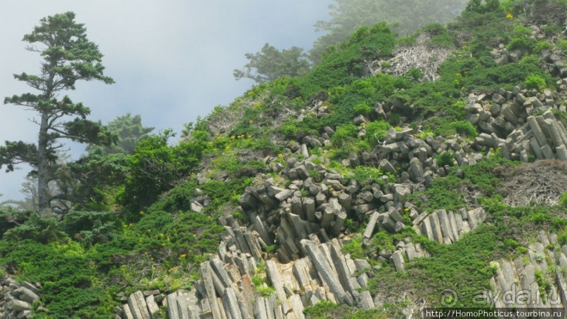 Здесь растут столбы