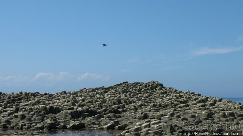 Здесь растут столбы
