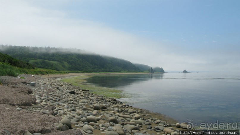 Здесь растут столбы