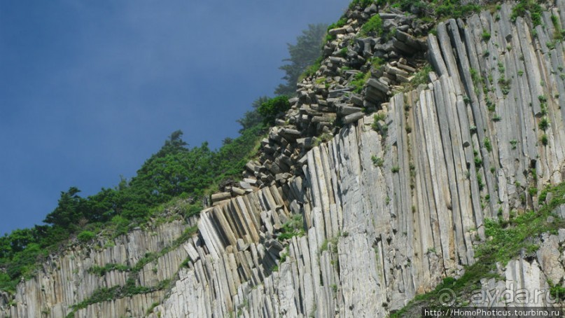 Здесь растут столбы