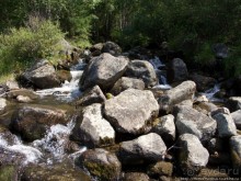 Капризный неудавшийся жених