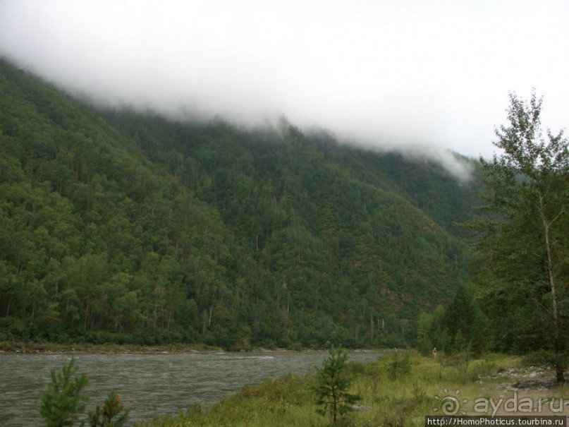 Капризный неудавшийся жених