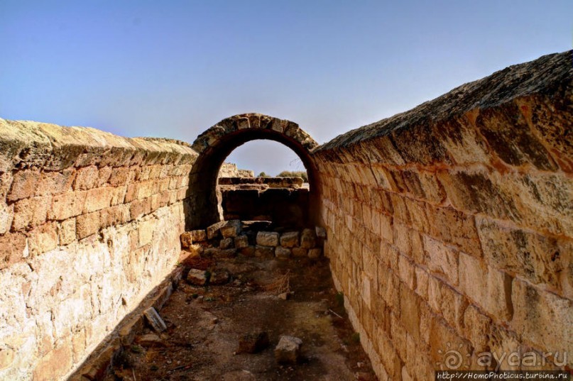 Альбом отзыва "Руины Саламиса"