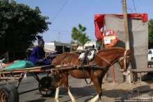 Сенегальская глубинка