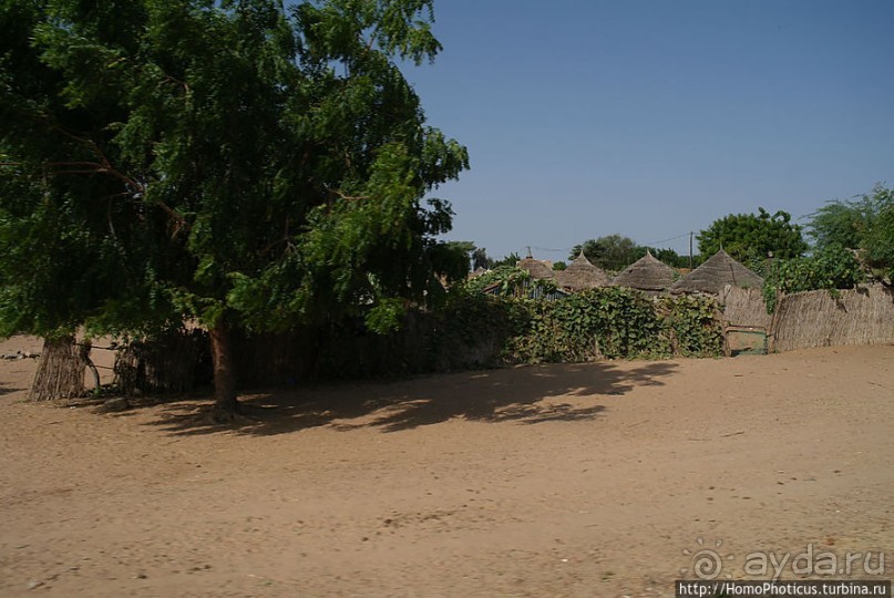Сенегальская глубинка