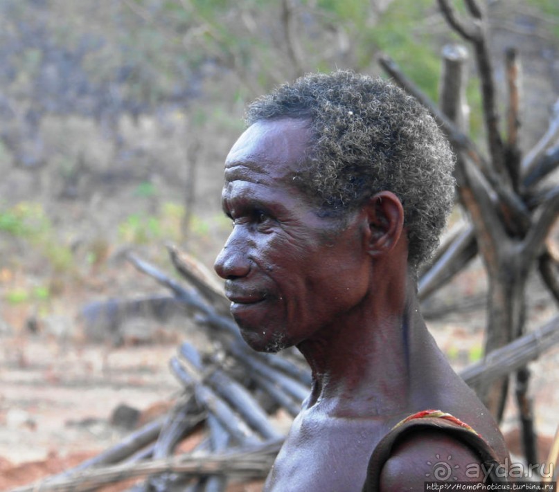 Жизнь и типажи кома