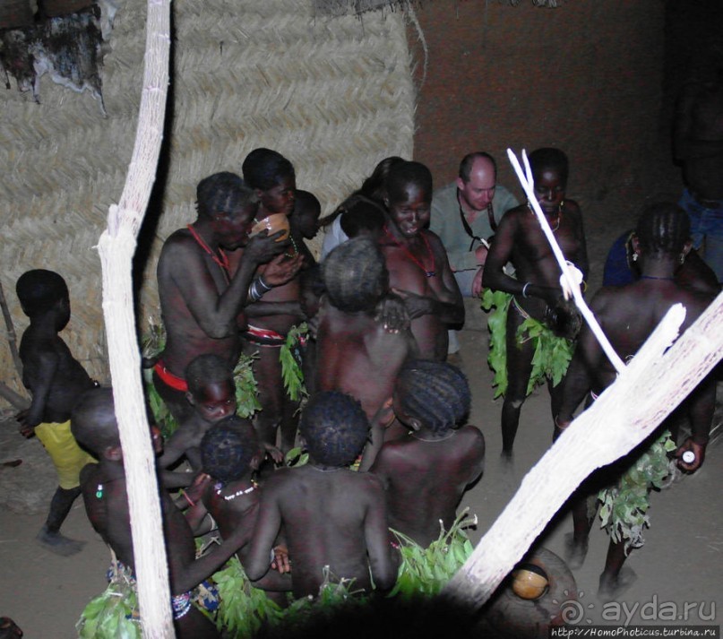 Жизнь и типажи кома