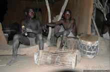 Жизнь и типажи кома