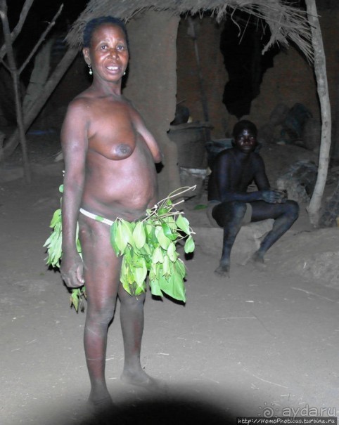 Жизнь и типажи кома