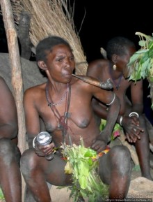 Жизнь и типажи кома