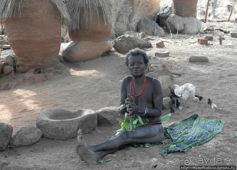 Жизнь и типажи кома