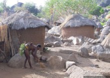 Жизнь и типажи кома