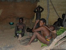 Жизнь и типажи кома