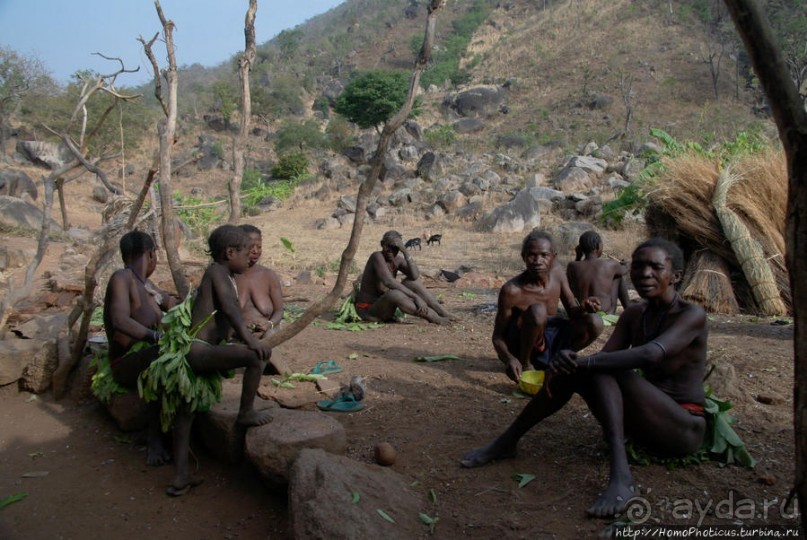 Жизнь и типажи кома