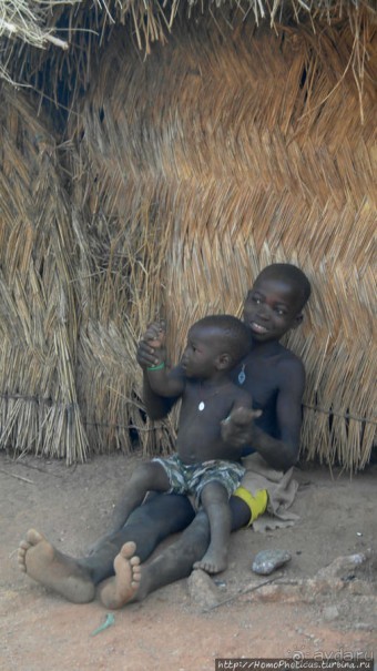 Жизнь и типажи кома