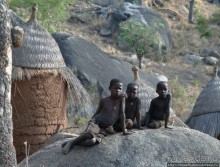 Жизнь и типажи кома