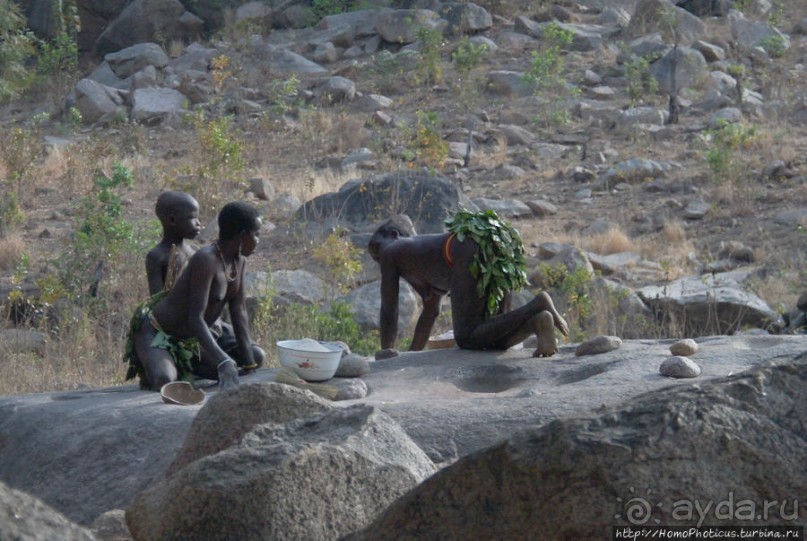 Жизнь и типажи кома
