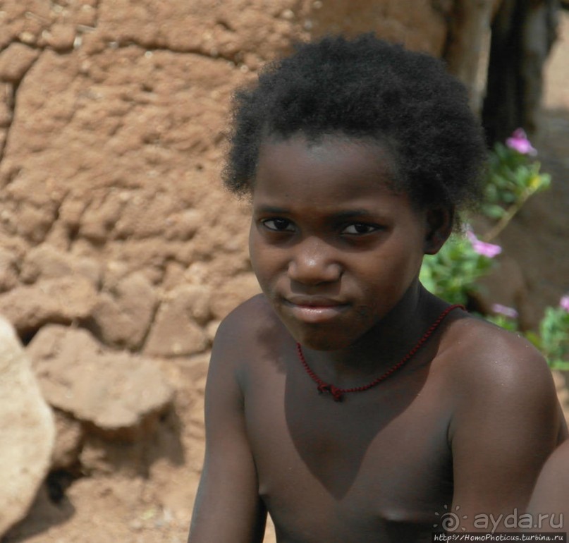 Жизнь и типажи кома