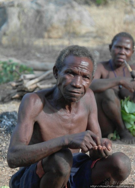 Жизнь и типажи кома