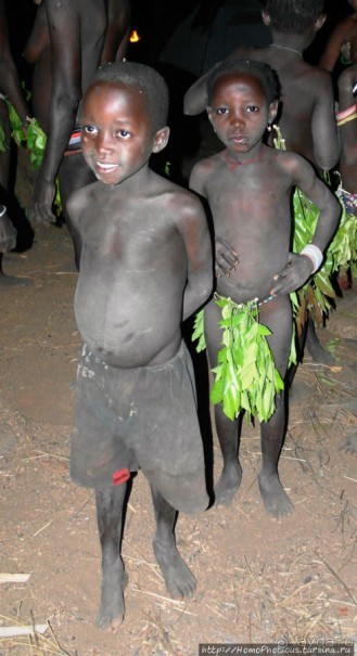 Жизнь и типажи кома