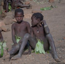 Жизнь и типажи кома