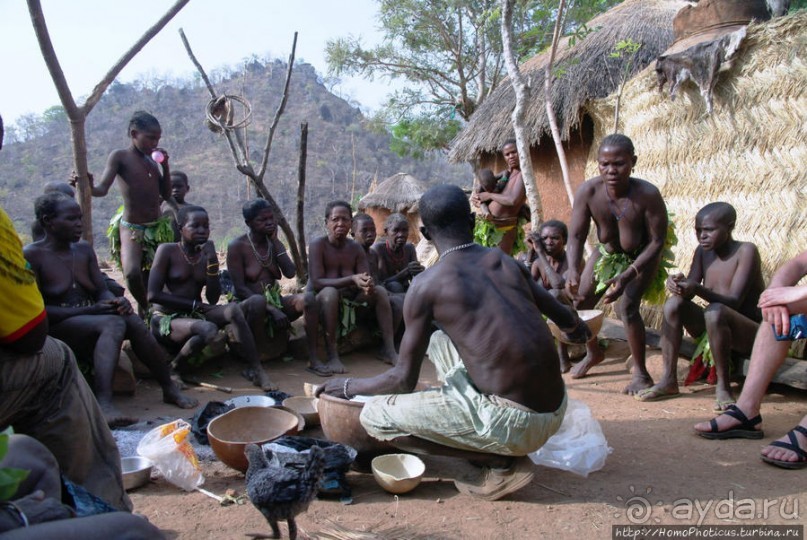 Жизнь и типажи кома