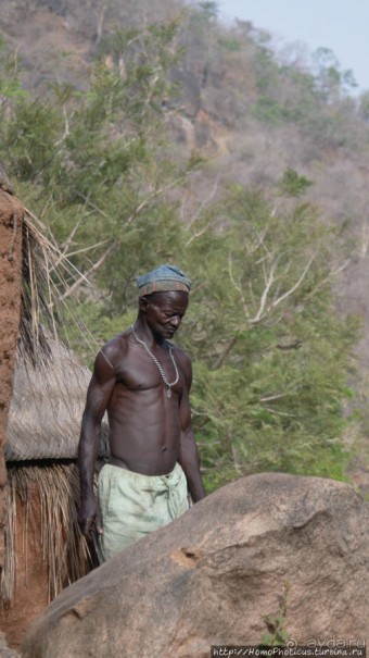 Жизнь и типажи кома