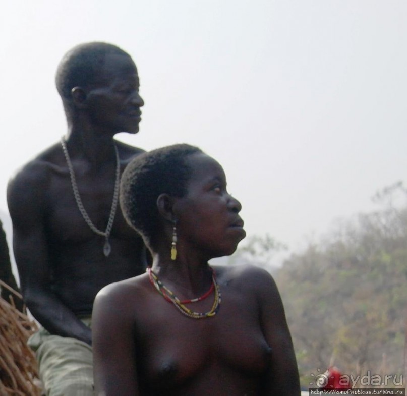 Жизнь и типажи кома