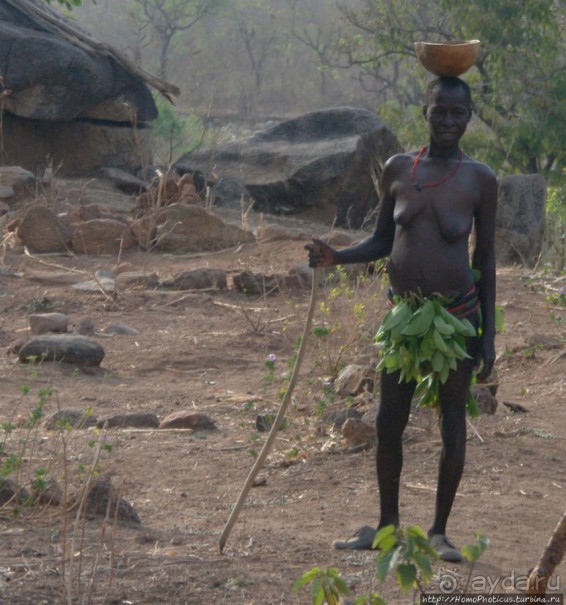 Жизнь и типажи кома