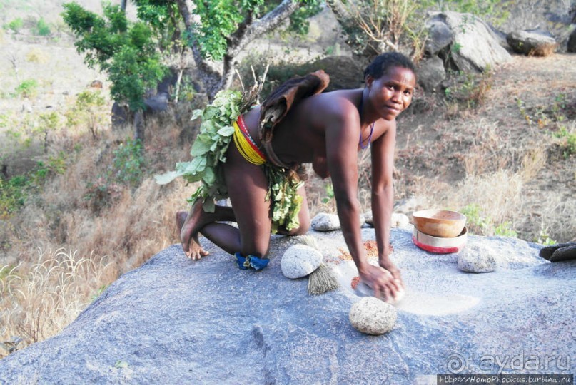 Жизнь и типажи кома