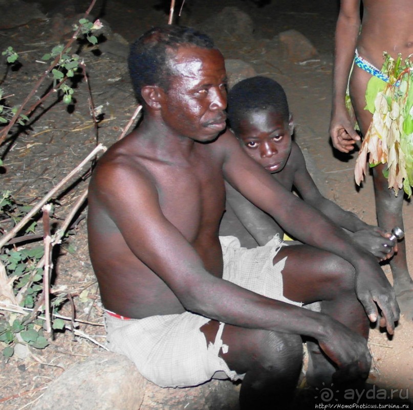 Жизнь и типажи кома