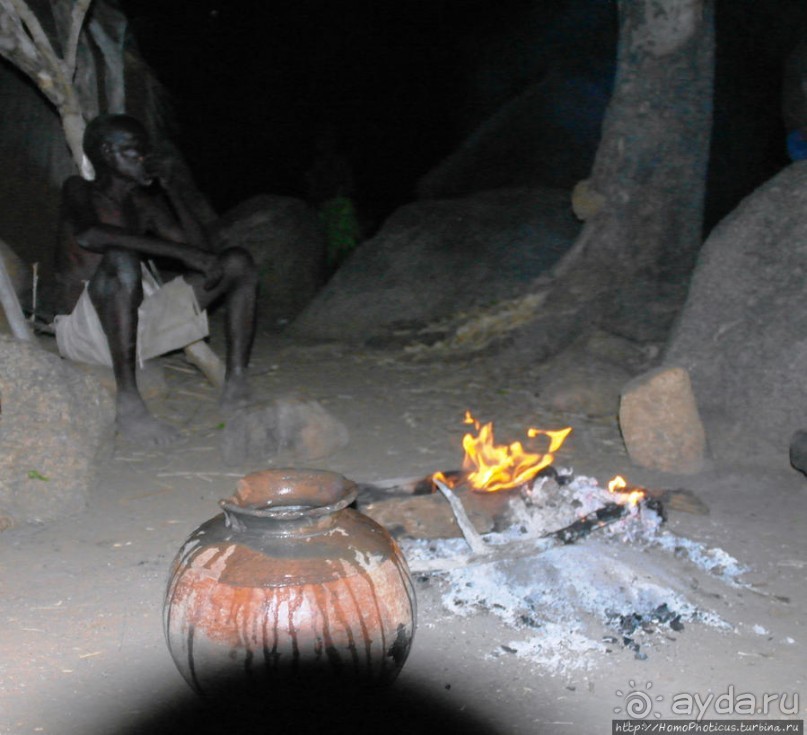 Жизнь и типажи кома