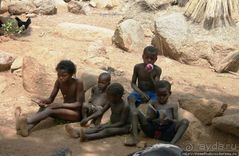 Жизнь и типажи кома