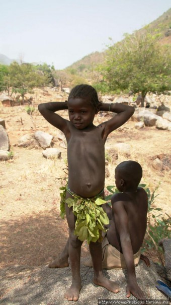 Жизнь и типажи кома