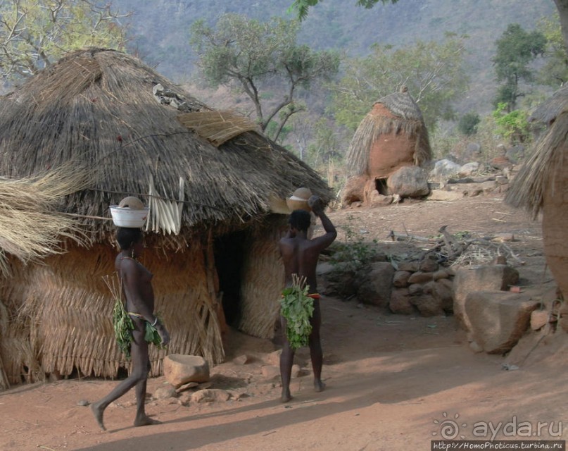 Жизнь и типажи кома
